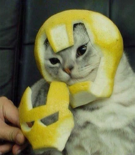 爆笑趣图:叔叔,这个警示牌是告诉我们小心突然有牛从天而降吗