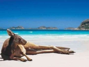 去澳洲旅游要多少钱?澳大利亚旅游费用知多少