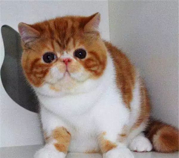 你永远不知道一个长得丑的女孩子这些年都经历