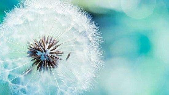 面对脾气暴躁的孩子,父母应该怎么做?