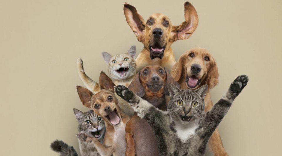 北京、上海房价大跌,但多数刚需仍买不起