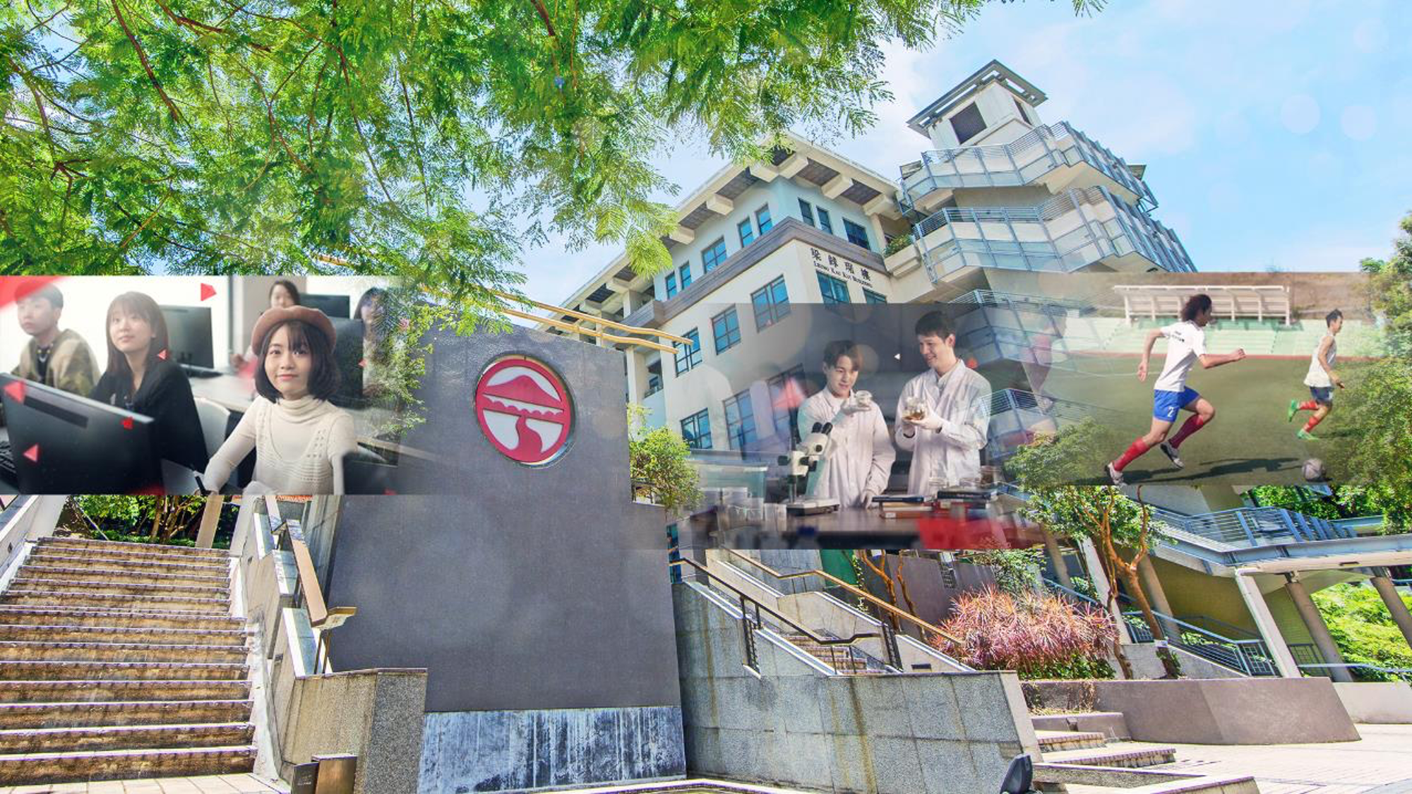 岭南大学校长秦泗钊：生成式AI是生产力的提高 学会与AI共存 人机相长