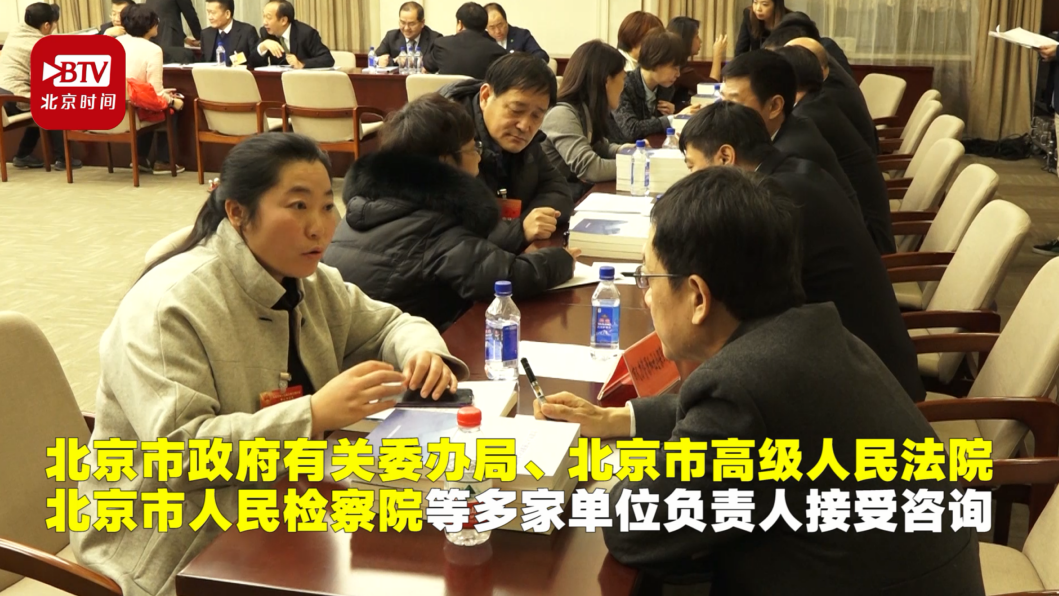 2020年北京两会期间举行人大代表政协委员政务咨询活动