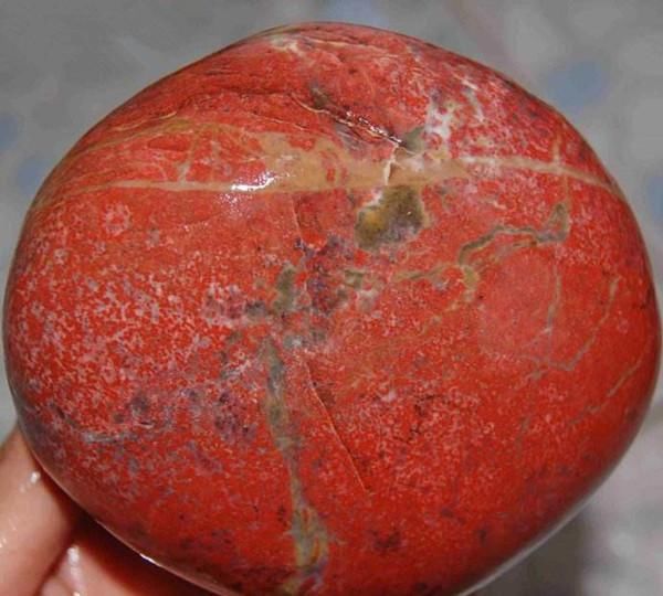 这块红梅奇石被人在乱石岗中发掘,色彩鲜艳,在全国非常少见