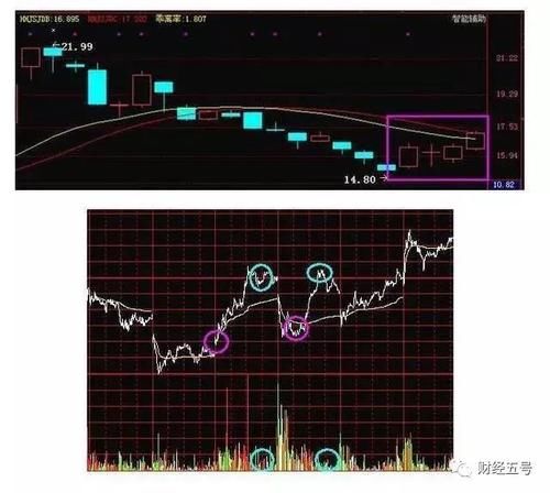 真正厉害的人,一辈子只做一种股票,怪不得你在
