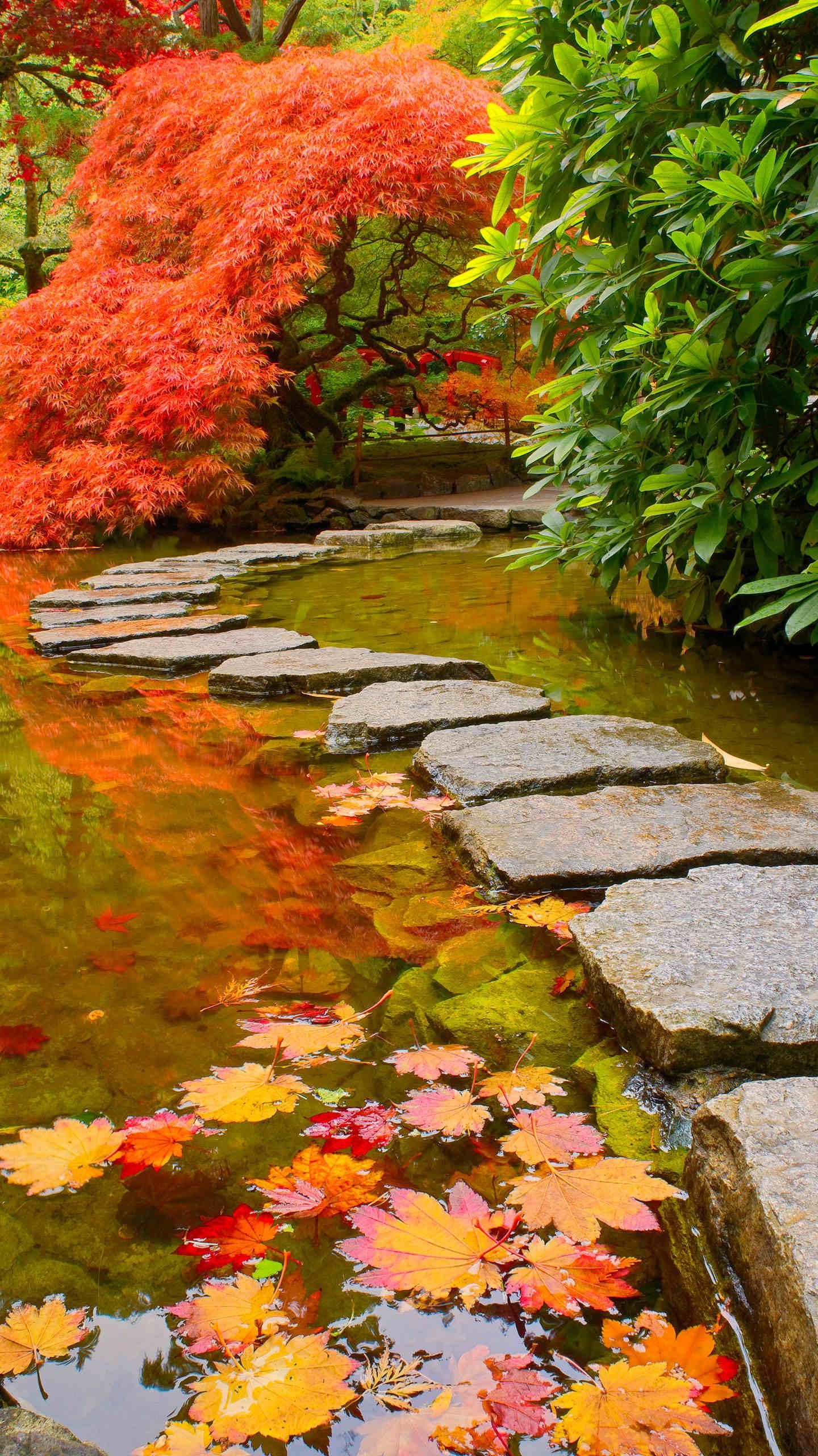 华为自带HD高清手机壁纸鉴赏