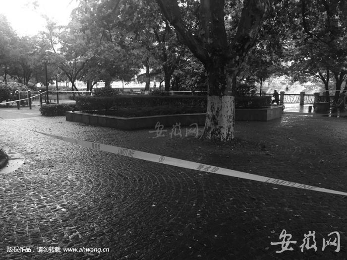 女子身中刀伤死亡 凌晨合肥闹市街头呼救 女子身中刀伤死亡 凌晨合肥闹市街头呼救