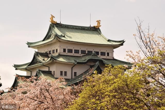 骨灰级旅游达人告诉你,名古屋自由行哪里5个必