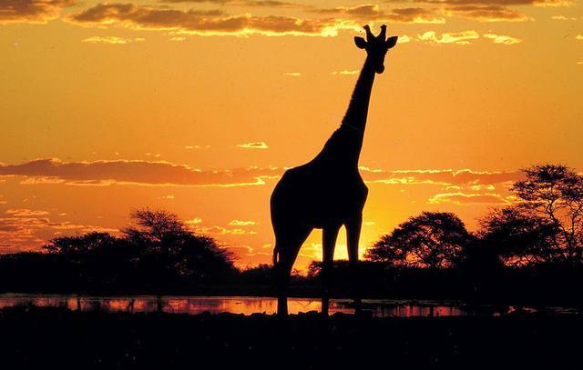 非洲一国提高签证难度,中国游客摇头拒绝,今为