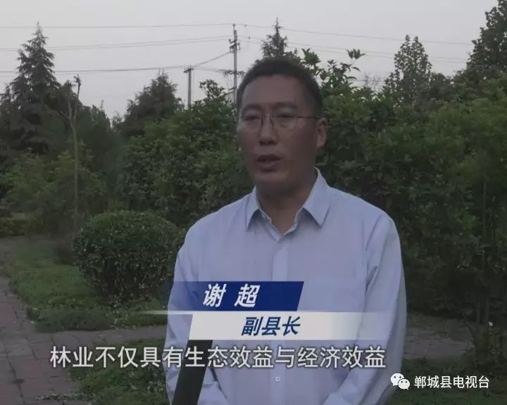 郸城:打造林业生态靓丽名片 改善乡村生态环境