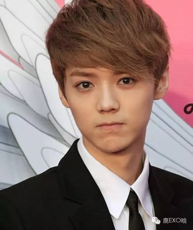 鹿晗说过的暖心的话