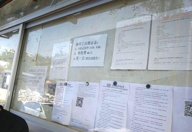 直击:宝龙比亚迪招工现场,成堆成队的求职者提