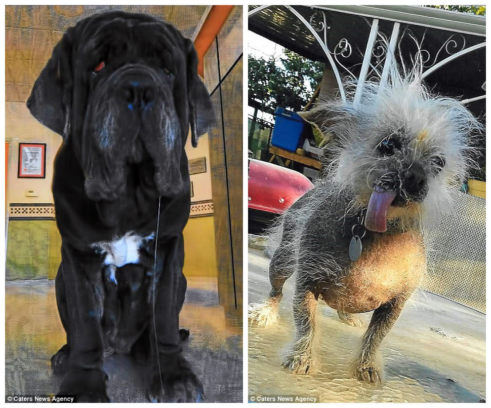 封面新闻编辑:siegismund