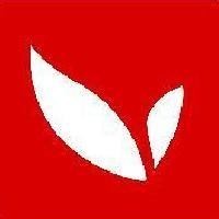 信易赢软件热点追击:造纸板块,纸价止跌 行业回