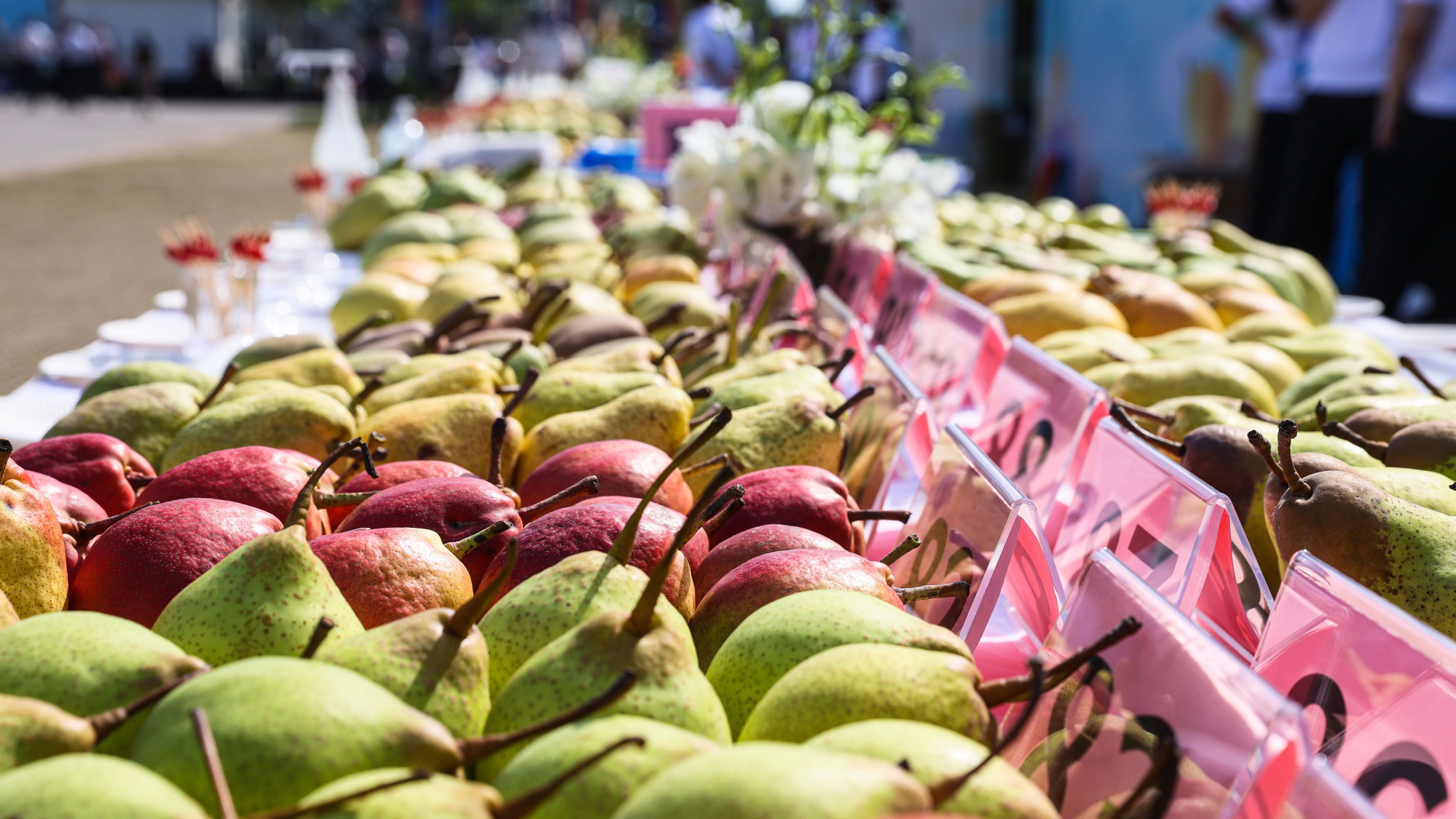 大兴区2021年中国农民丰收节开幕 大兴区2021年中国农民丰收节开幕