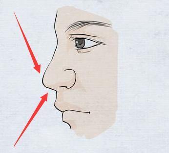 有"凤颈","八字鼻"的人,为龙为凤,"富可敌国",贵的发响