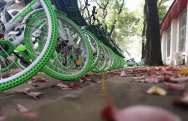 共享单车倒闭潮过后 2018年你还会选择共享单