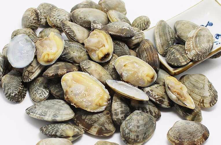 青岛鲜活蛤蜊
