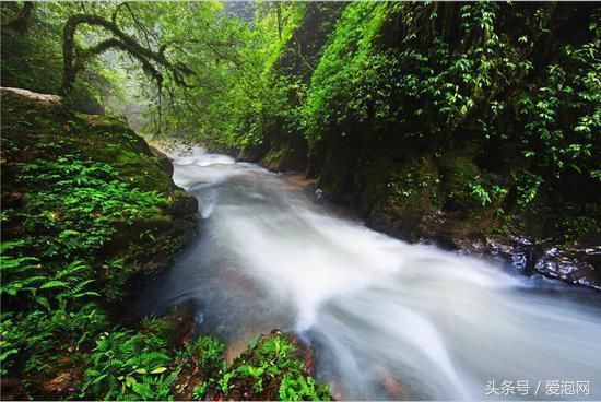 云南旅游必去景点:秘境哀牢山,体验亦云亦雾亦