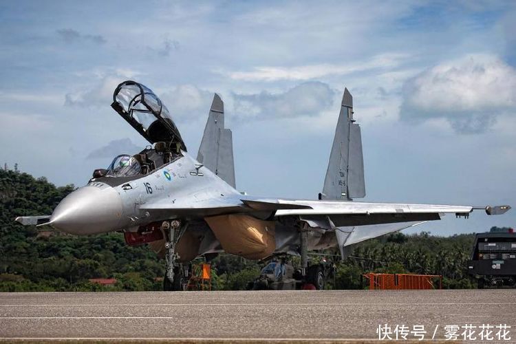小国的无奈, 马来西亚空军80%的苏30战斗机无