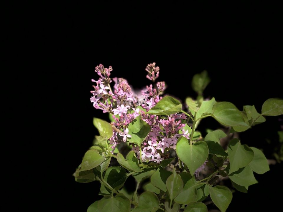 女儿火场触电身亡 父亲控告消防指挥员玩忽职