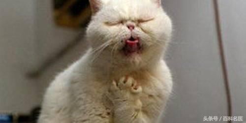 嗓子有痰,咳不出来又咽不下去怎么办?