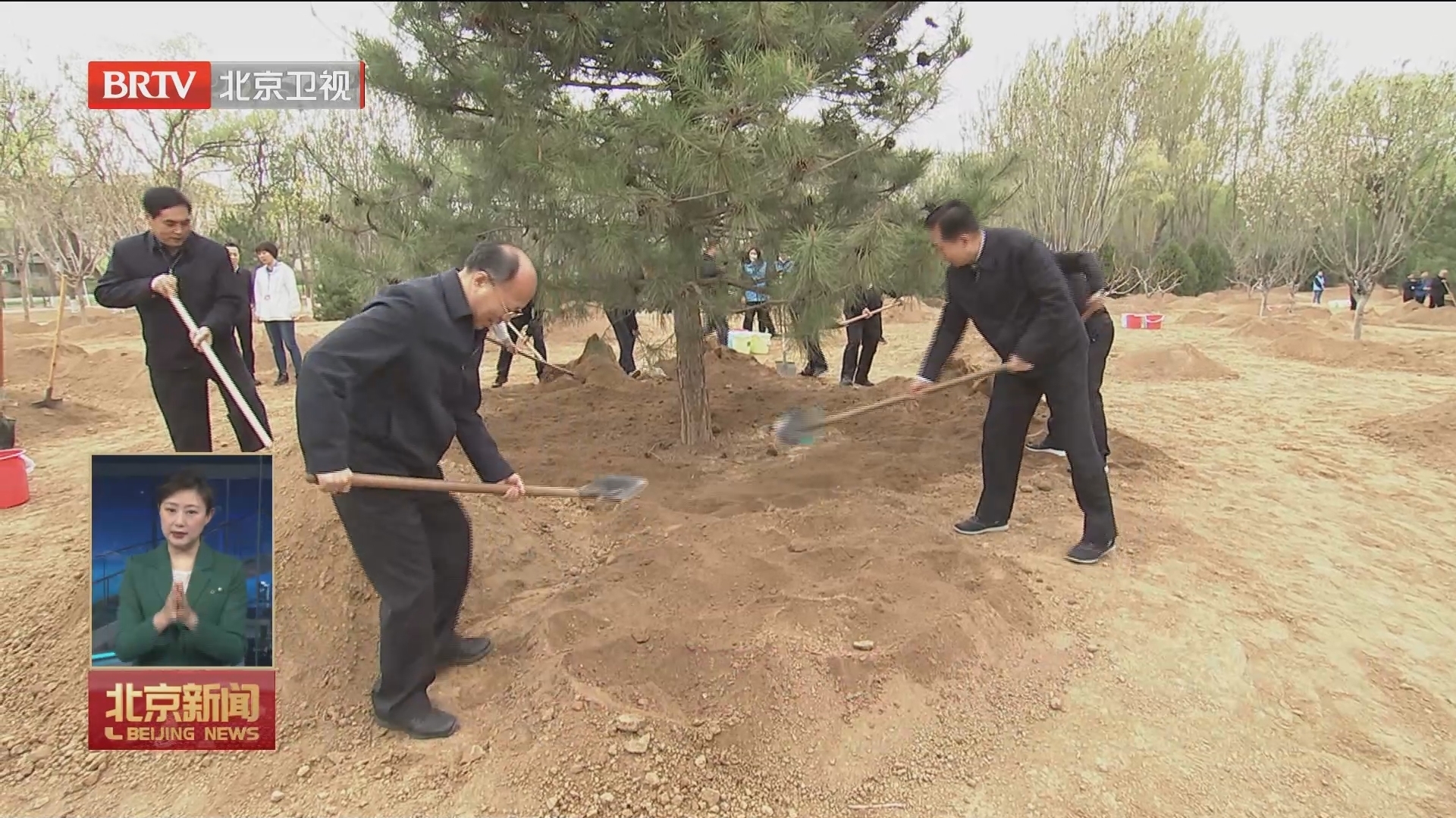 全国人大常委会部分组成人员参加义务植树