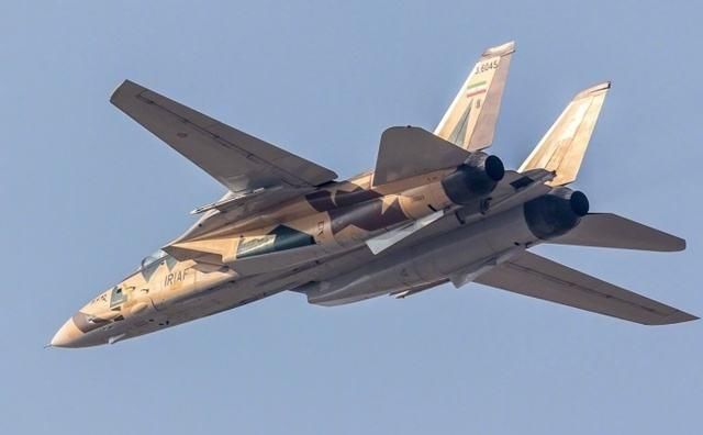 致逝去的经典战机F-14熊猫