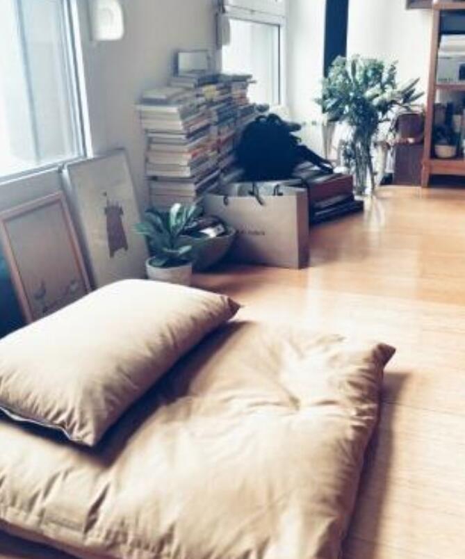 林更新豪宅内景曝光 装修高大上还是动漫控