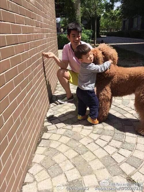 妈超开播:霍思燕家从大别墅搬到平层楼,但嗯哼