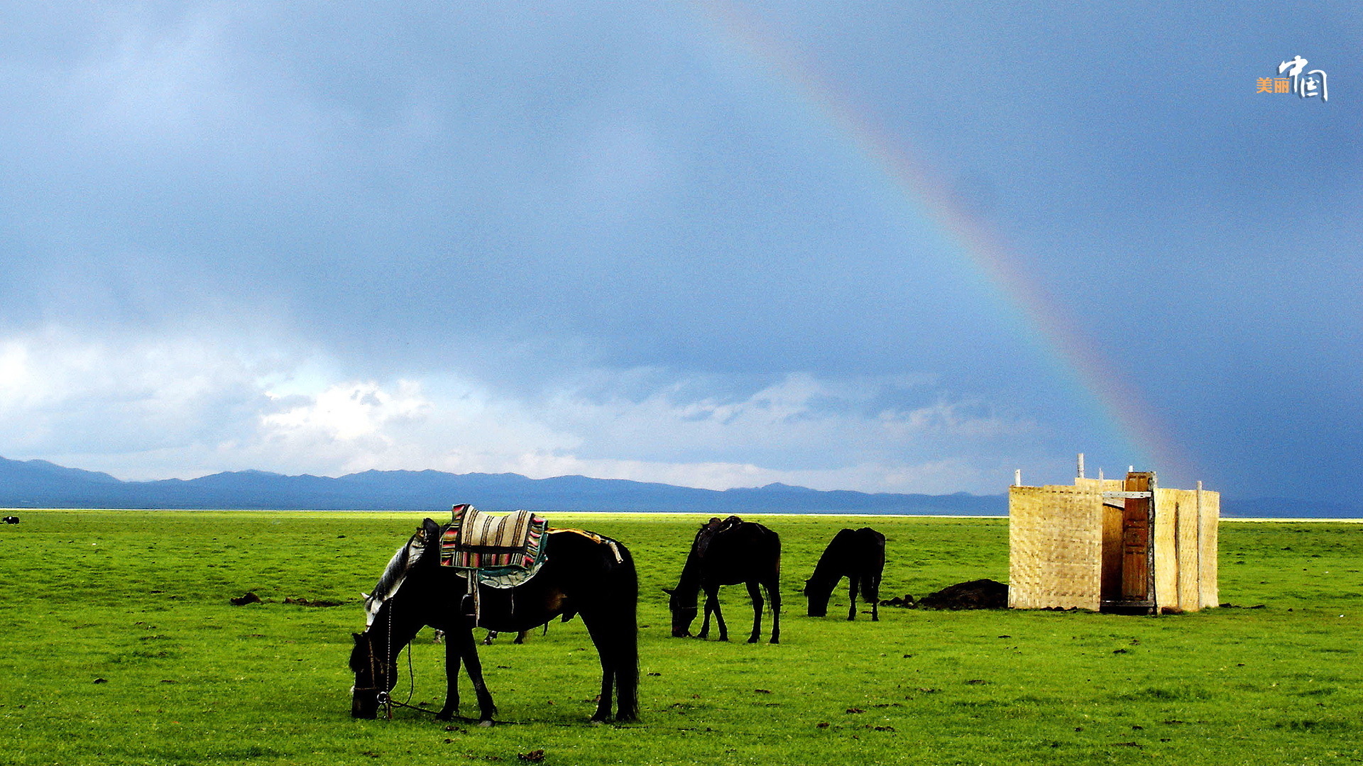【美丽中国】天边若尔盖 长征走过的"死亡草海"