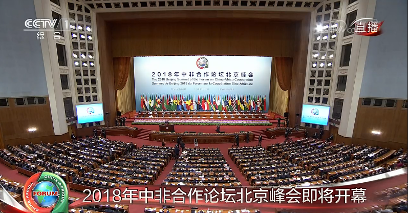 2018年中非合作论坛北京峰会开幕式 2018年中非合作论坛北京峰会开幕式