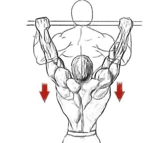 正握宽距和反握窄距引体向上,能做120个身体素