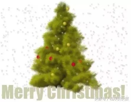 程序员这样祝福女朋友圣诞节快乐?代码在这,可