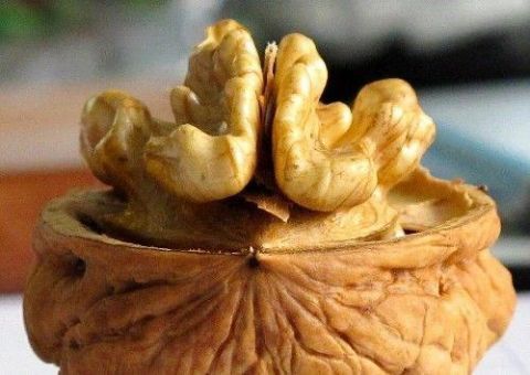 核桃壳别扔,核桃壳煮水大有用处,治咽炎,清热解