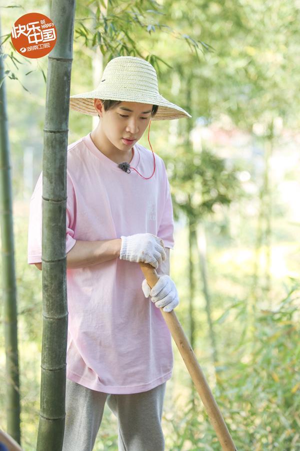 《向往的生活》片酬排行何炅最高,黄磊片酬却