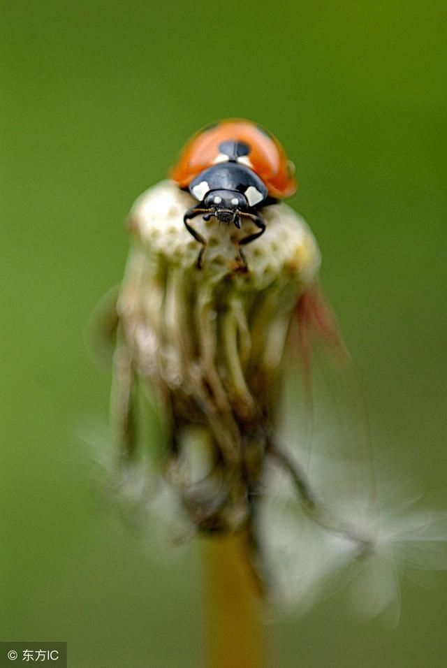 七星彩票周易预测研讨,易经研究彩票的三种方