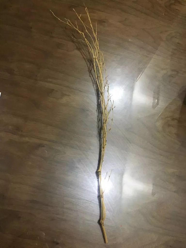 二胎夫妻晒出一张"分工表" 朋友圈炸锅:太拼了