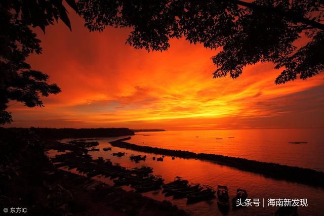 靠不靠谱?任大炮放言十年后海南房价称霸全国