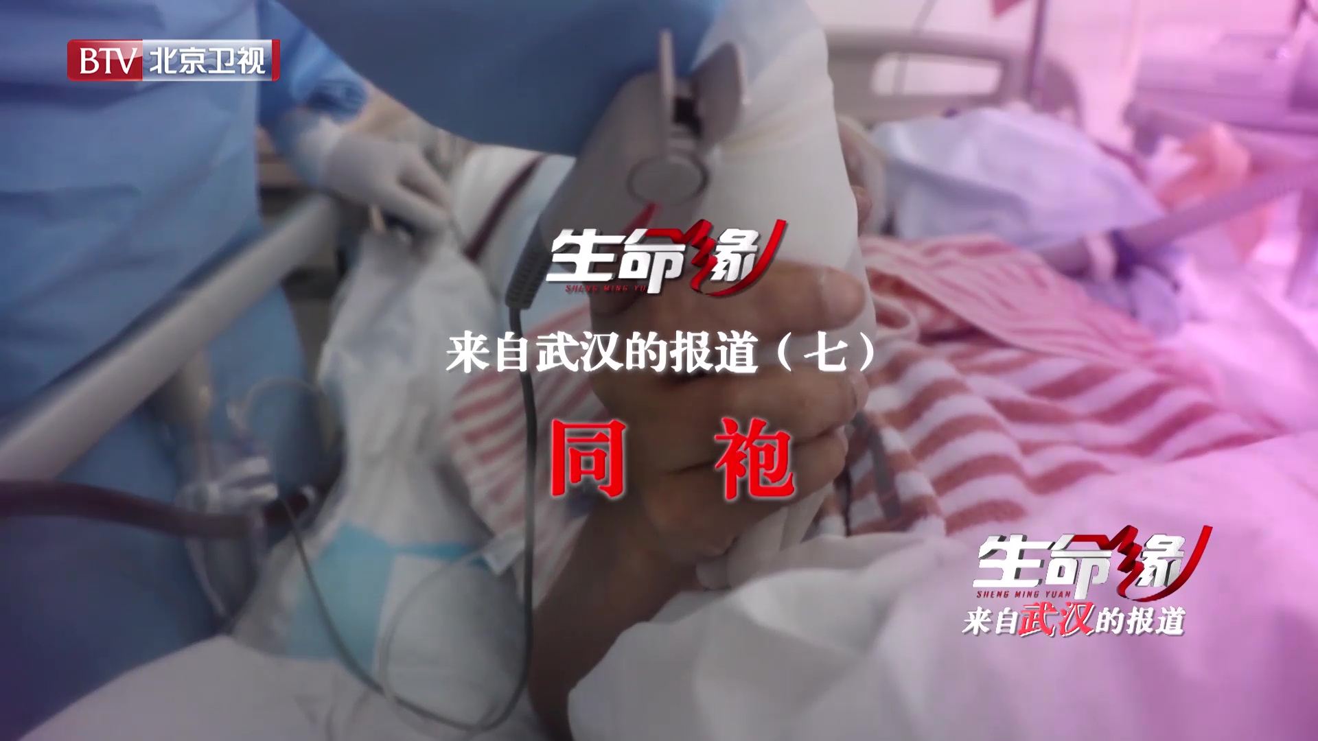 《生命缘》来自武汉的报道(七)同袍 《生命缘》来自武汉的报道(七)同袍