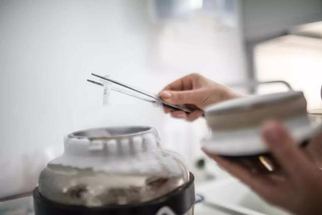 富人花400万年轻30岁,那我们又该何去何从? 贷款 第2张-贝它财经 富人花400万年轻30岁,那我们又该何去何从? 贷款 第2张