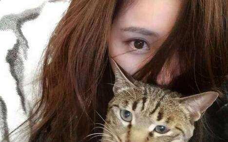 刘亦菲的微博头像简直就是杨幂, 她们之间有什