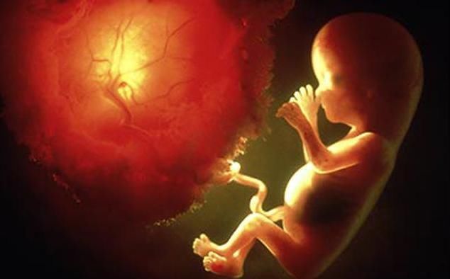 近年导致胎儿畸形概率如此之高,如何预防胎儿