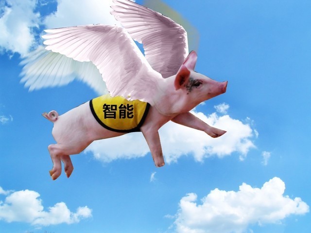 站在风口的"智能猪"真能飞起来么?