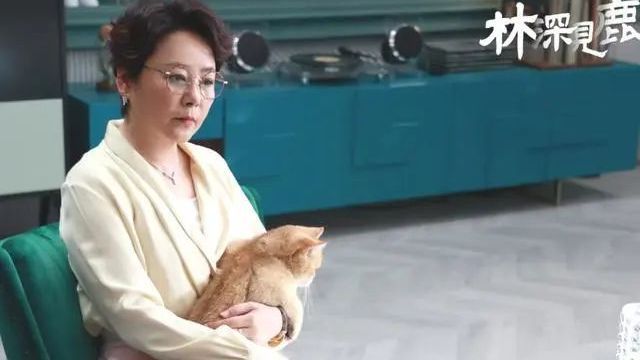 《林深见鹿》靳东“岳母”不简单,原来她的背景这么强大 《林深见鹿》靳东“岳母”不简单,原来她的背景这么强大