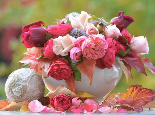 肠里有气排不出来 肚子咕噜真麻烦