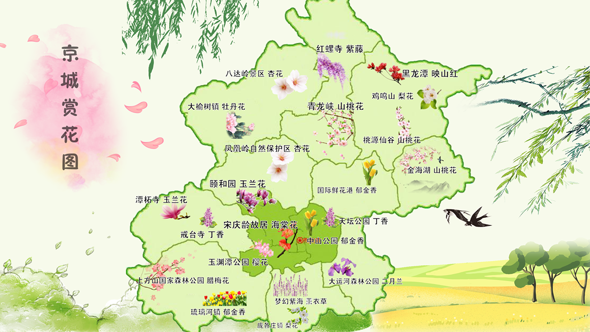 花重北京城|不知道去哪看花?这份手绘版“京城赏花图”您收好! 花重北京城|不知道去哪看花?这份手绘版“京城赏花图”您收好!