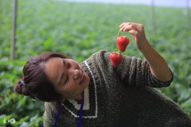 自媒体制作短视频几个思路,找素材制作短视频
