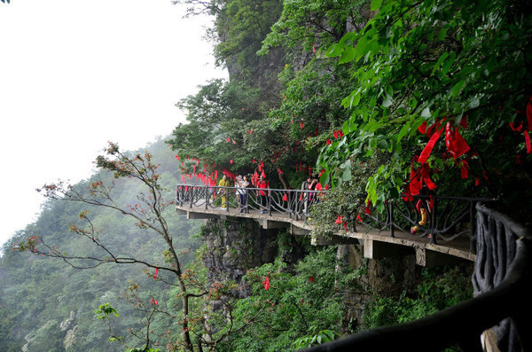 张家界开心旅游,感谢导游|下次来还找你!