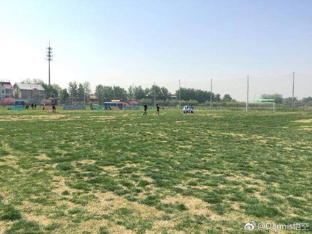 中国女足强势晋级世界杯 男足颜面该往何处挂